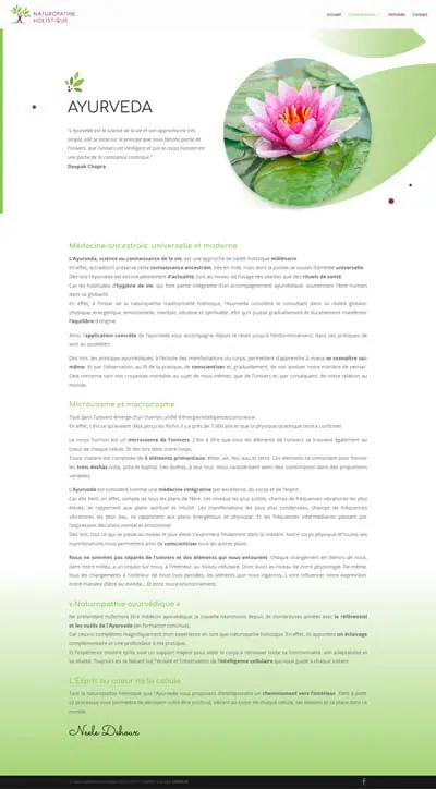 Naturopathie Neele Dehoux Projet - Agence OUI Are Web UX Design CX Neuromarketing CRO
